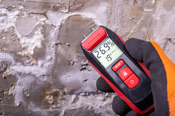 Best Home Mold Removal  in Ahoskie, NC